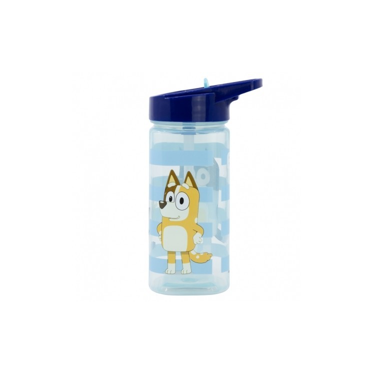 Botella Square Bluey 510ml Cool Day | Diseño moderno