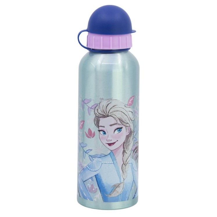 Botella Aluminio 530ml Frozen Snowy Tale | Diseño infantil