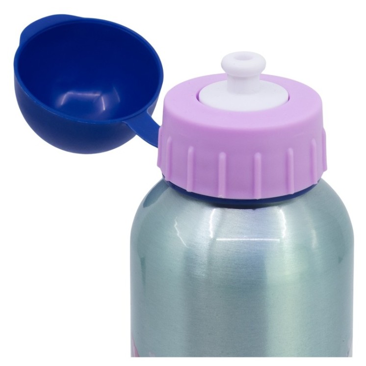 Botella Aluminio 530ml Frozen Snowy Tale | Diseño infantil